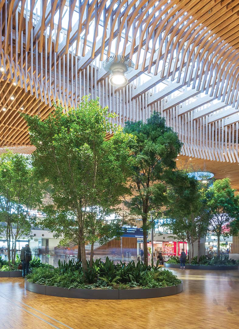 photo-gallery-transportation-portland-international-airport-09